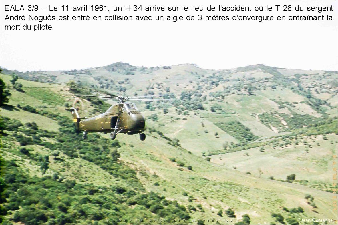 199- ARMEE DE L'AIR EN ALGERIE 1945-1962-47 (90).jpg